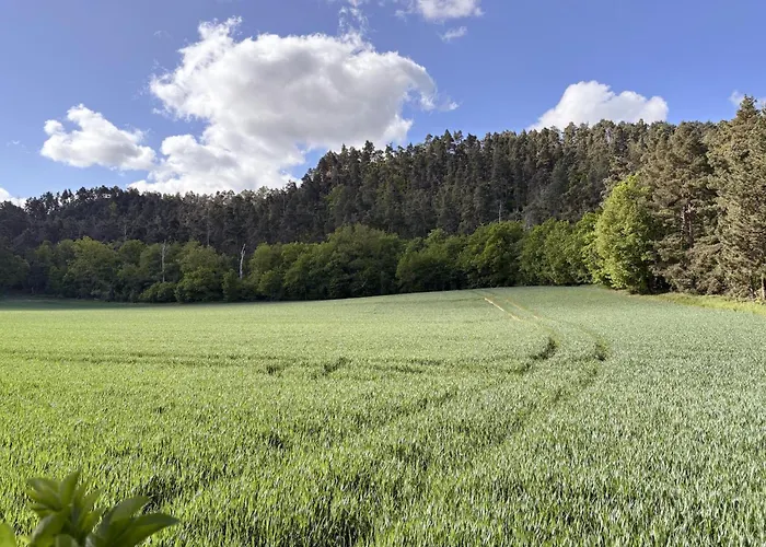 Zur Teufelsmauer בית נופש